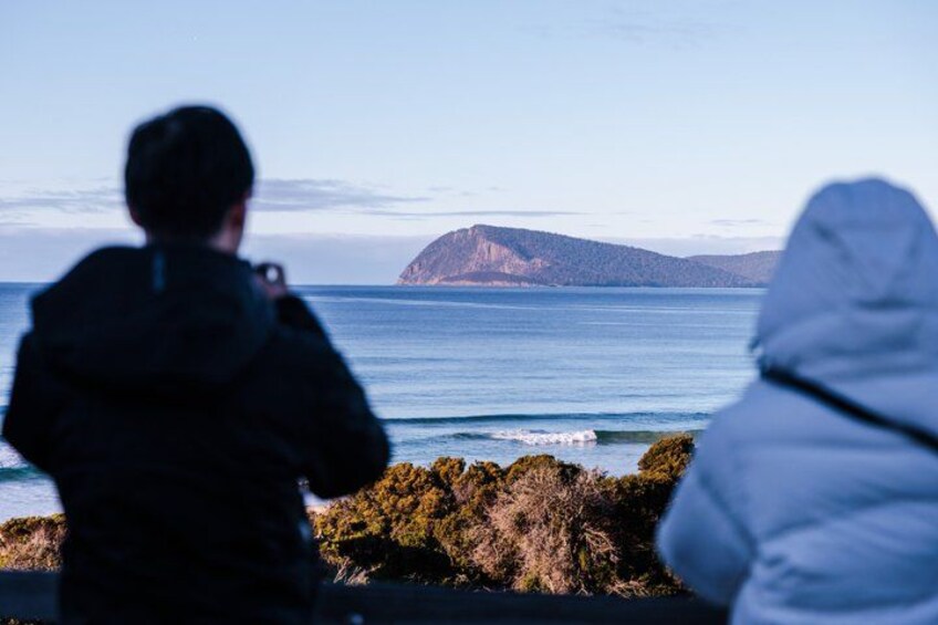 Full-Day Guided Bruny Island Tour from Hobart 3