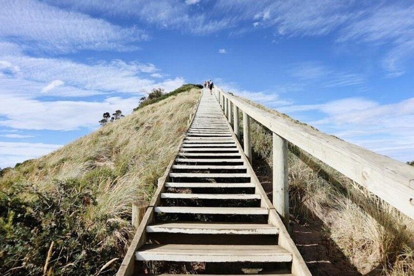 Full-Day Guided Bruny Island Tour from Hobart 2