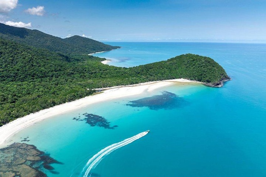 Cape Tribulation, Mossman Gorge, and Daintree Rainforest Day Trip 4