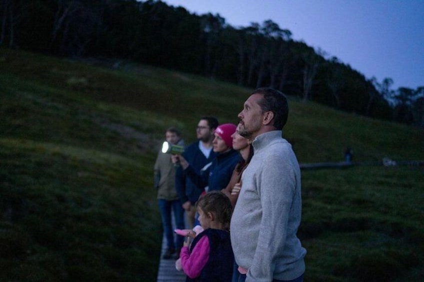 A group of people on a grassy hill during twilight. 4