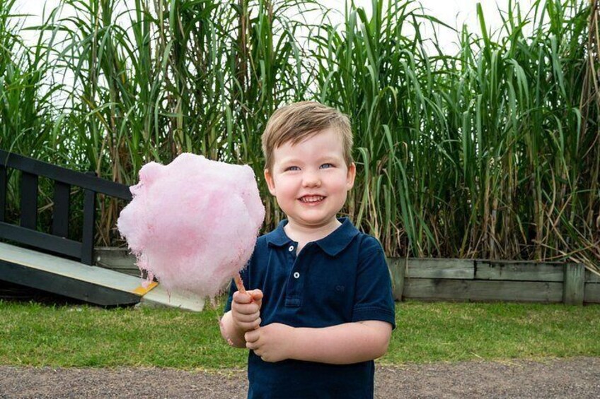 A child holding a cotton candy. 2