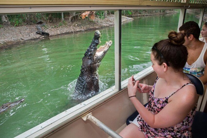 Hartley's Crocodile Adventures Day Trip from Cairns 3