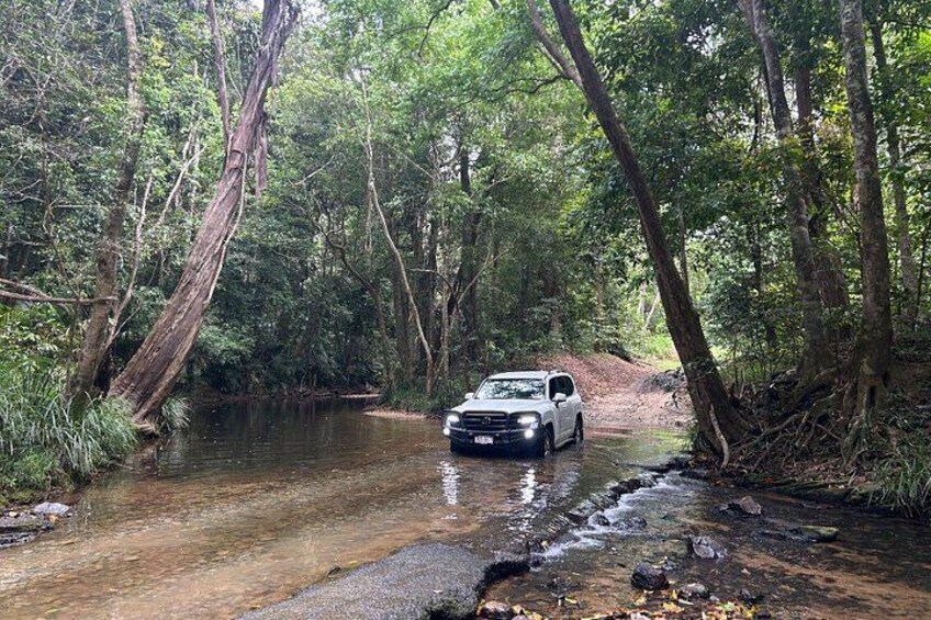 Cairns Rainforest & Waterfalls 4WD Half-Day Tour 1