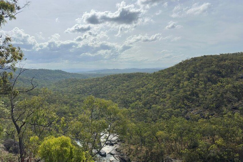 Cairns Rainforest & Waterfalls 4WD Half-Day Tour 2