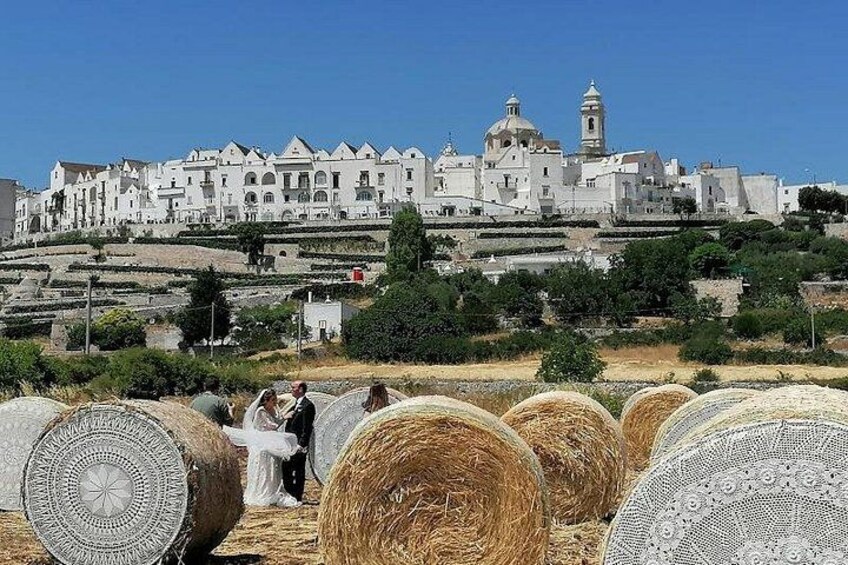 WINES Tastings and Countryside! from Bari 2