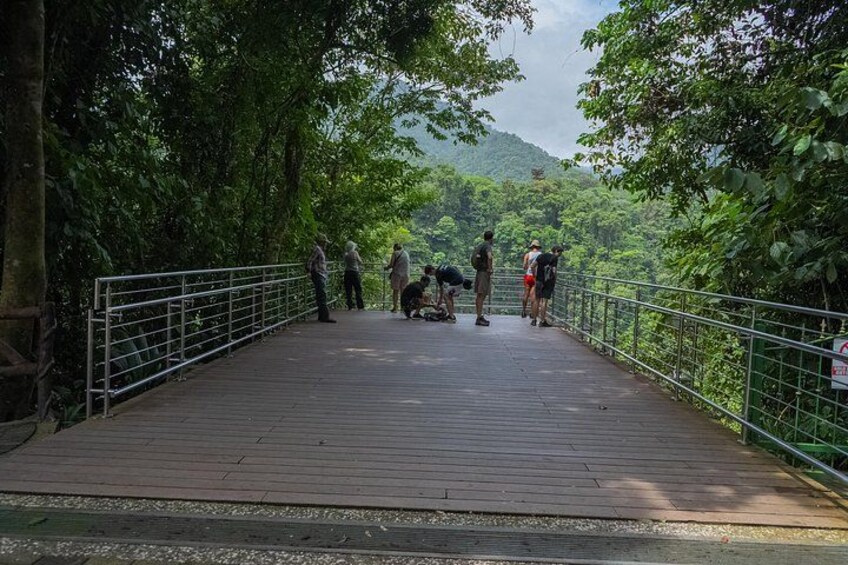 Take in the waterfall from a distance at our accessible viewpoint. An inclusive space where everyone can enjoy the experience. 4
