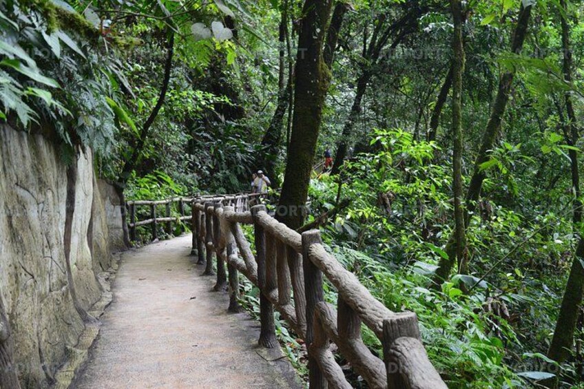 Skip-the-Line La Fortuna Waterfall Admission Ticket 3