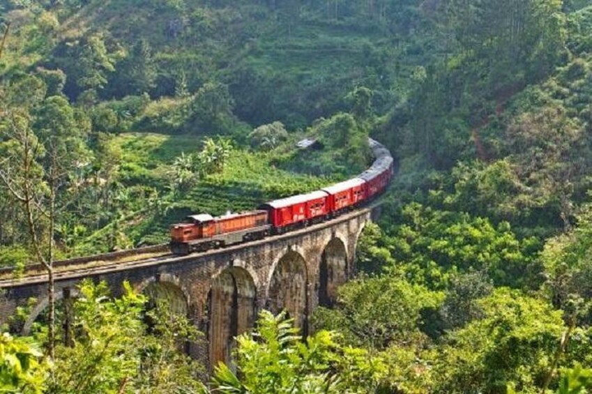 A train on a bridge surrounded by lush greenery. 5