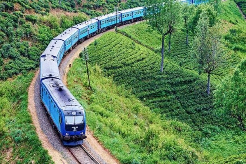 A blue train traveling along a curved track through a lush green landscape with trees and vegetation. 4