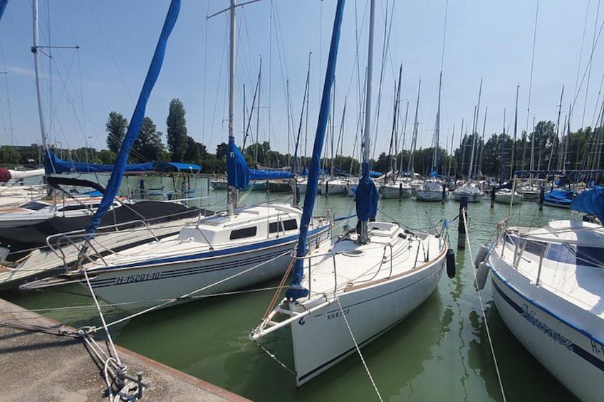 A marina with several sailboats docked, surrounded by trees. 2