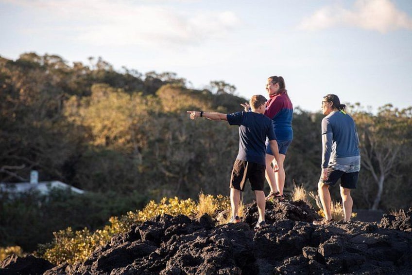 Sunset kayak tour to Rangitoto Island | Auckland 3