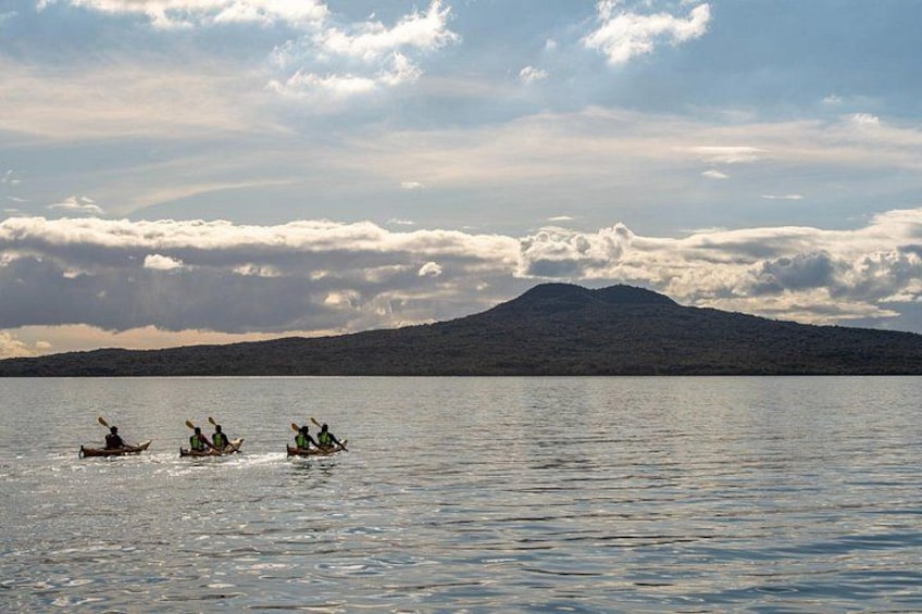 Sunset kayak tour to Rangitoto Island | Auckland 4