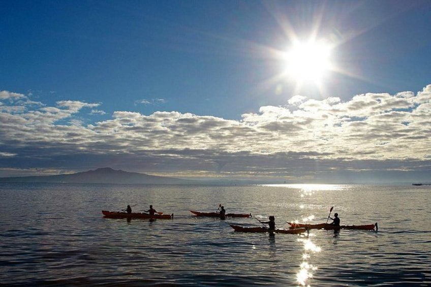 Sea Kayaking in Auckland 2