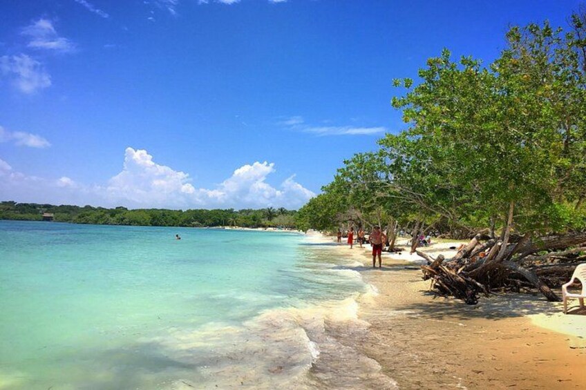 A beach with clear turquoise water, a sandy shore, and green trees. 2