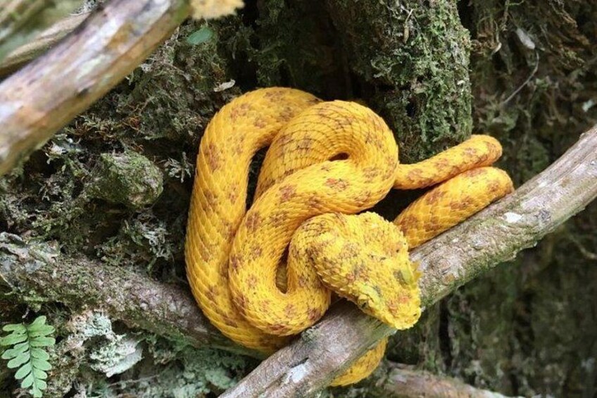 Encounter wildlife, including snakes, along the trails! 5