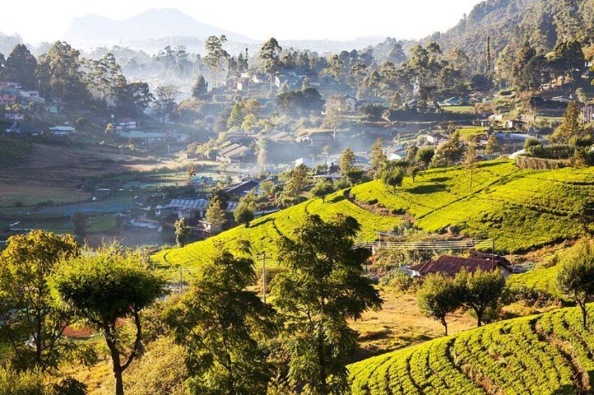 A hilly landscape with terraced tea plantations and scattered houses. 2