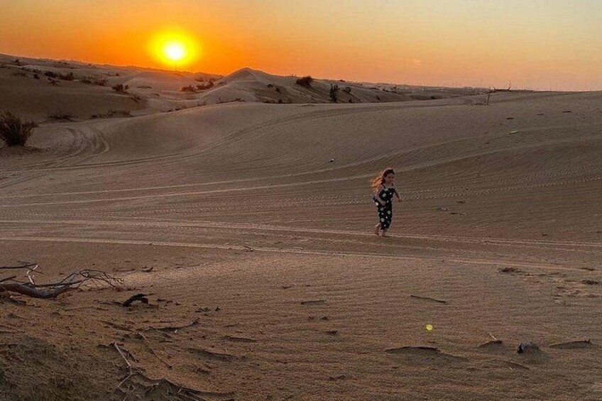 A desert landscape with sand dunes and a person walking. 5