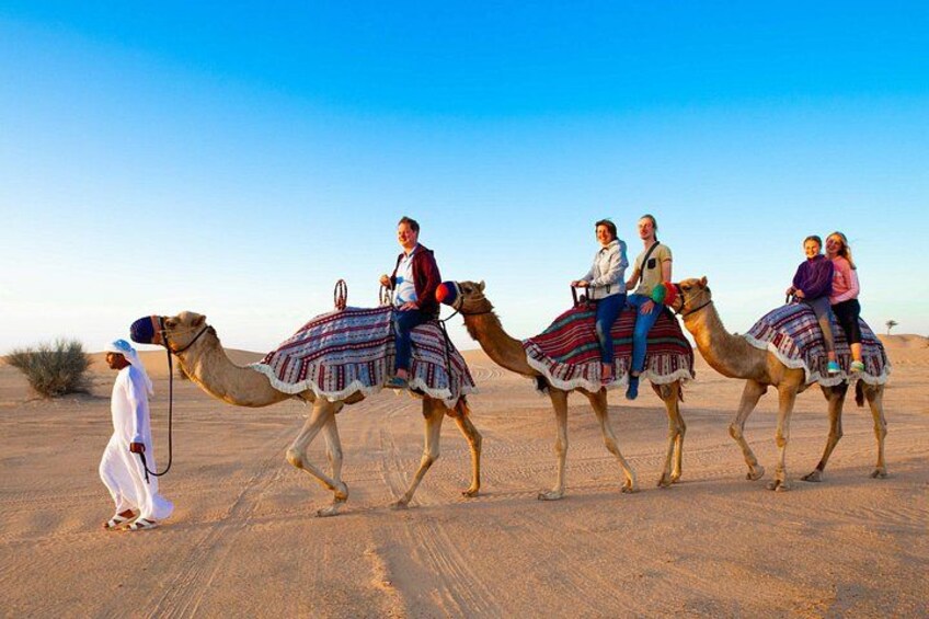Standard Desert Safari, camel ride, BBQ Dinner, Belly Dance Show, Pick & Drop 4
