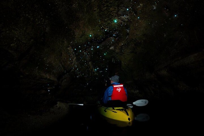 Una persona haciendo kayak en una cueva oscura con organismos bioluminiscentes. 3