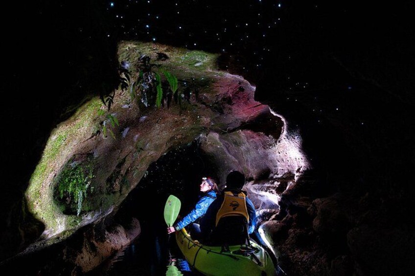 Kayaking while immersed by nature, a must do experience 2