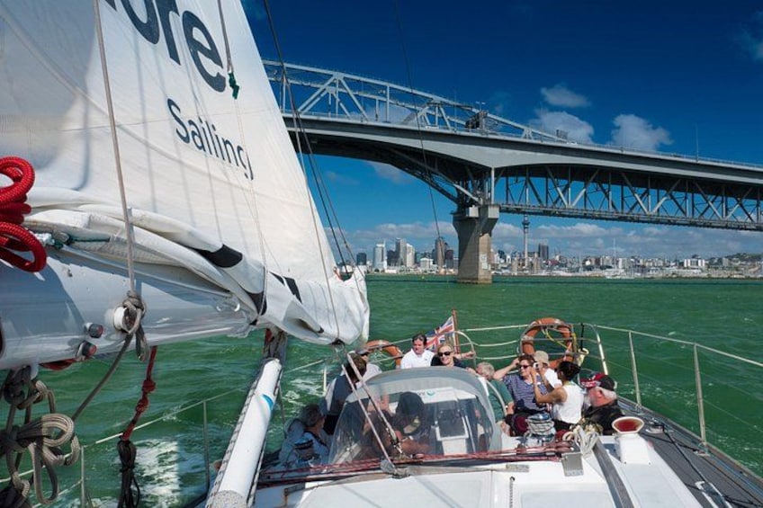 Auckland Harbour Sailboat Cruise Including Three Course Dinner 3
