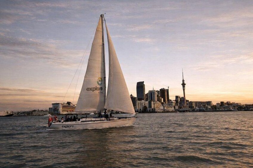 Auckland Harbour Sailboat Cruise Including Three Course Dinner 4