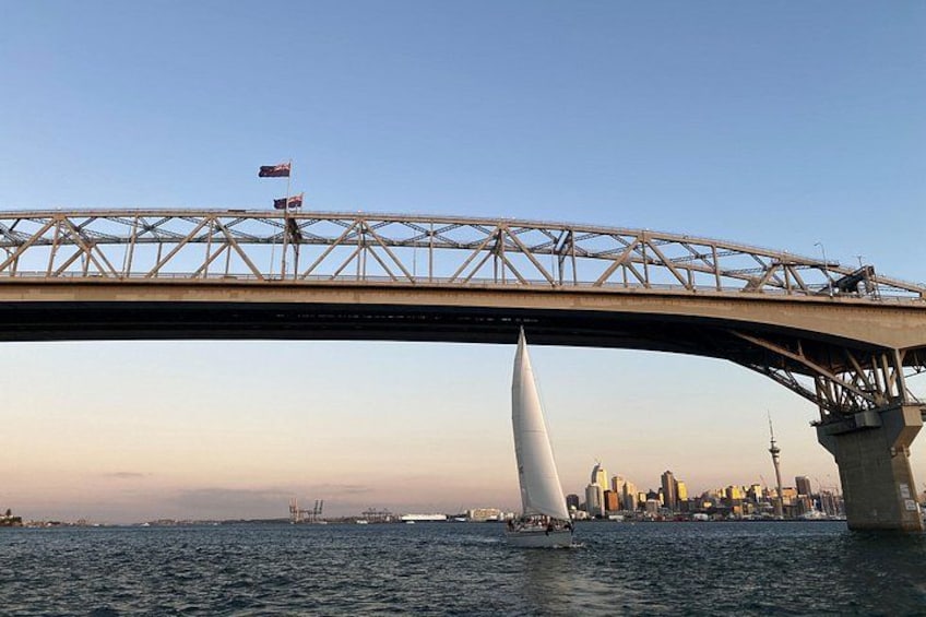 Auckland Harbour Sailboat Cruise Including Three Course Dinner 5