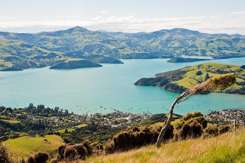 Akaroa 1
