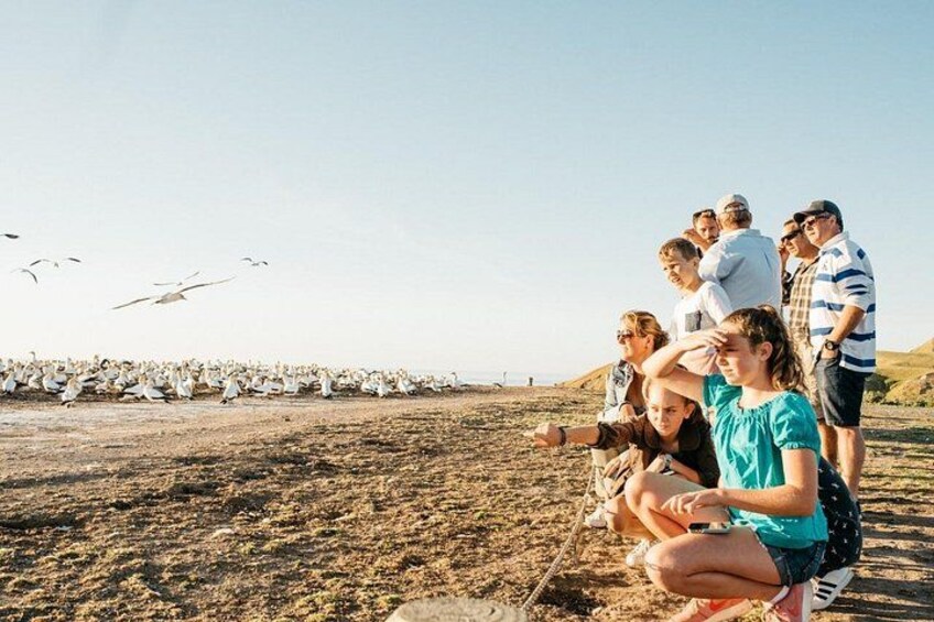 Eine Gruppe von Menschen am Strand, während Vögel am Himmel fliegen. 2