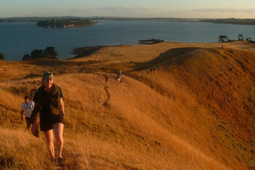 Hiking to the summit of Motukorea, Brown's Island 5