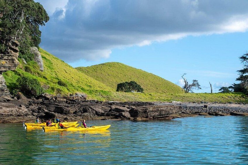 Auckland Volcano - Motukorea / Browns Island Sea Kayak Tour 1