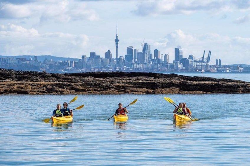 Auckland Volcano - Motukorea / Browns Island Sea Kayak Tour 2