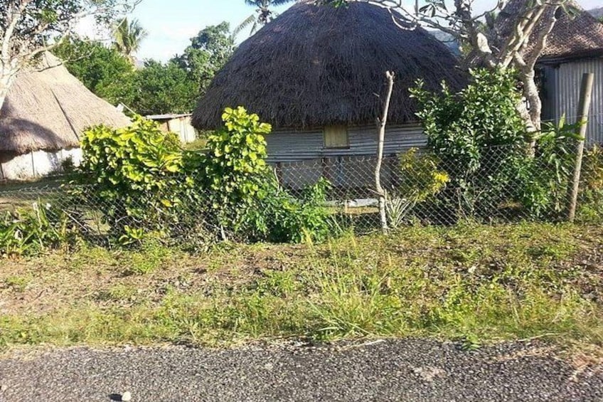 A rural landscape with a thatched-roof house, a fence, and vegetation. 2