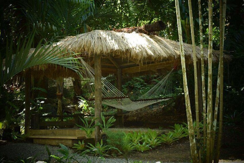 Een gazellopje met rieten dak en een hangmat in een weelderige tuin. 3