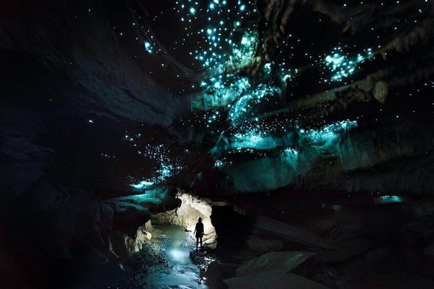 Waitomo Glow Worm Caves 3