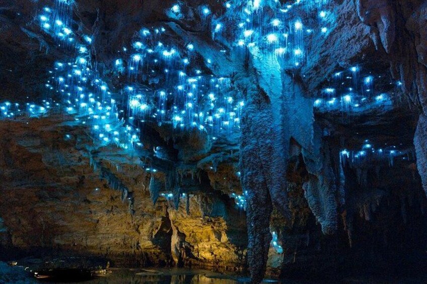 Waitomo Glow Worm Caves 5
