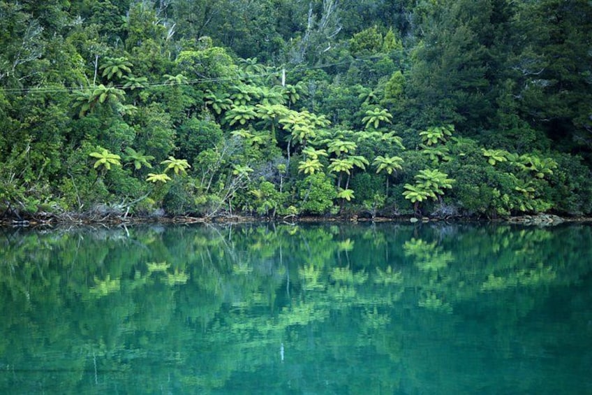 Half-Day Guided Sea Kayak Trip from Picton 2