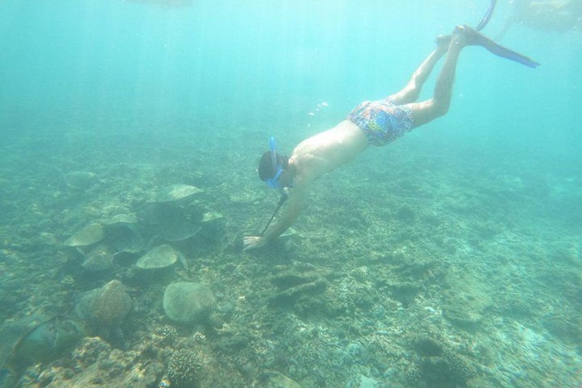 A person scuba diving underwater with a snorkel and fins. 2