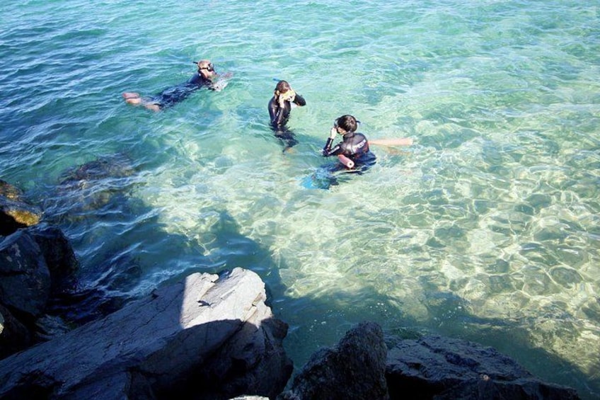 Tres personas haciendo snorkel en aguas azules y cristalinas cerca de costas rocosas. 5