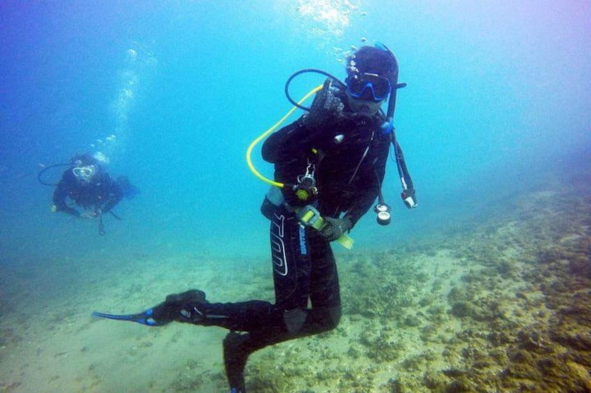 Wave Break Island Scuba Diving on the Gold Coast 4