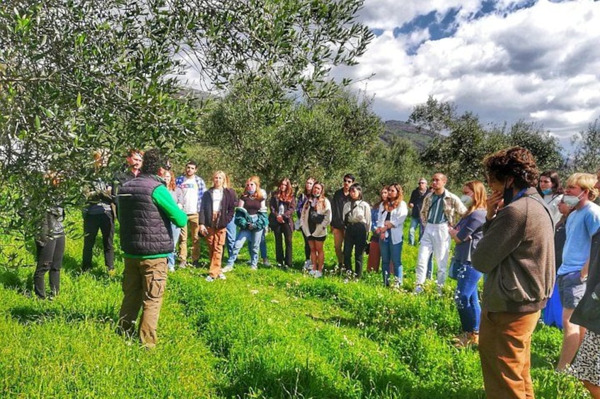 Een groep mensen staat in een grasveld, met bomen en bergen op de achtergrond. 2