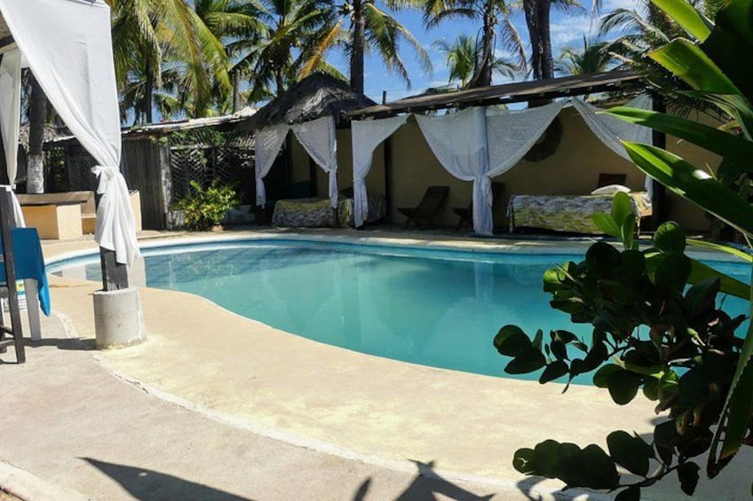 Aztec Temazcal Experience & Jungle Coyuca Lagoon &Turtle Release 5