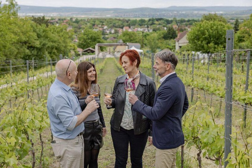 Wine tasting with friends in a wonderful vineyard near Budapest 2
