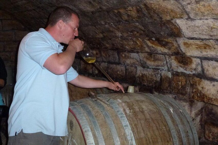 Wine tasting from the barrel 4