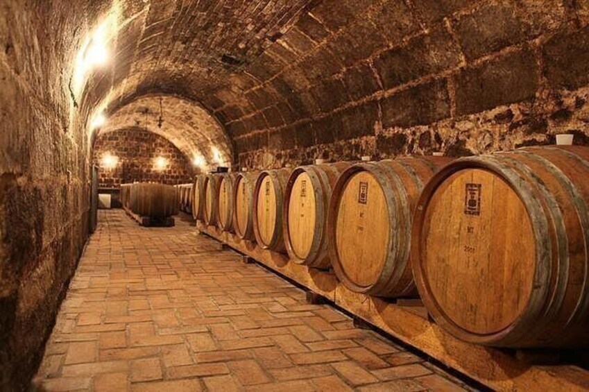 A cellar with wooden barrels lined up along the walls. 1