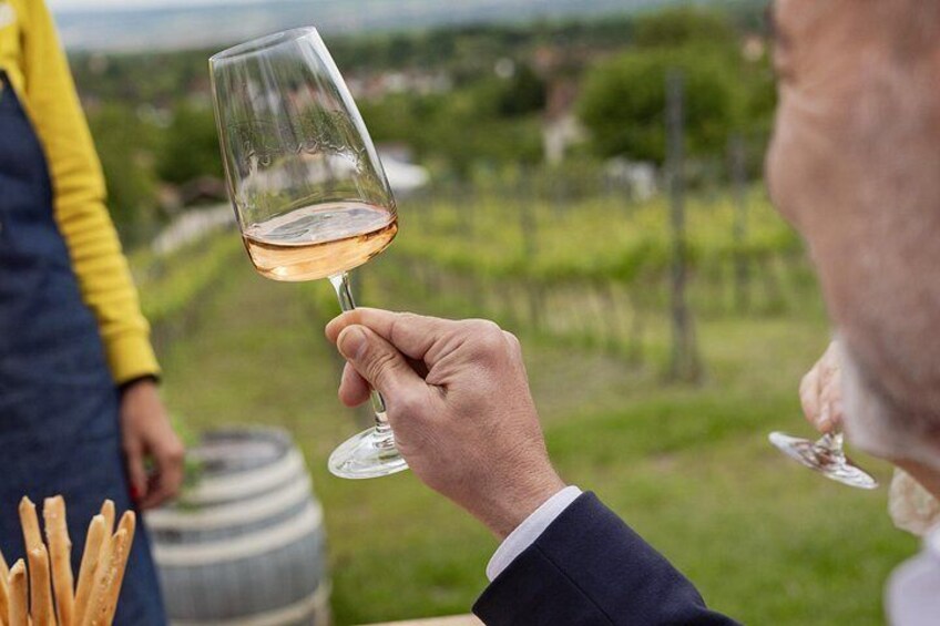 A person holding a wine glass with a vineyard in the background. 4