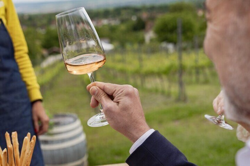 A person holding a wine glass with a vineyard in the background. 4