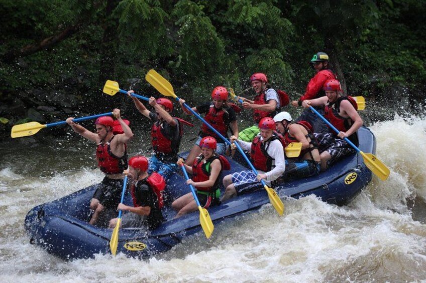 Large boats for groups of 8 or 9 guest 3