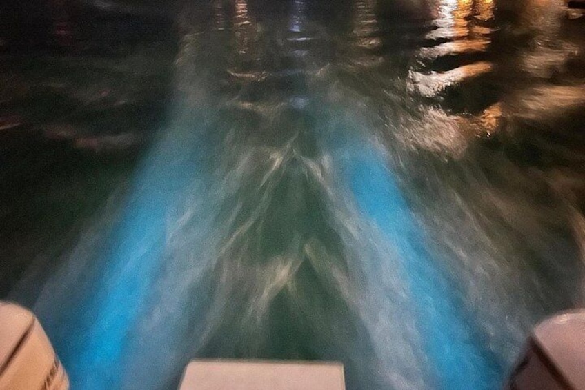 Propeller wash glowing as we leave the bio bay 3