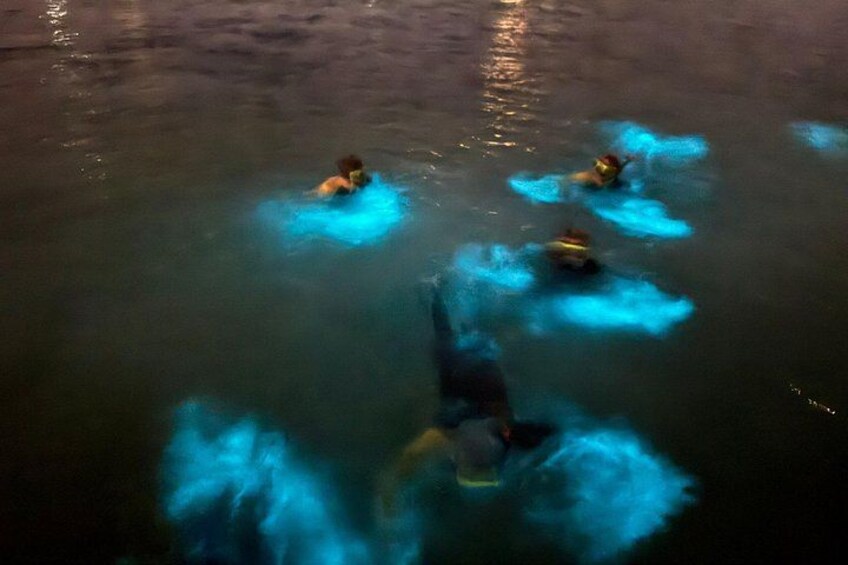 Guests swimming in the bio bay 1